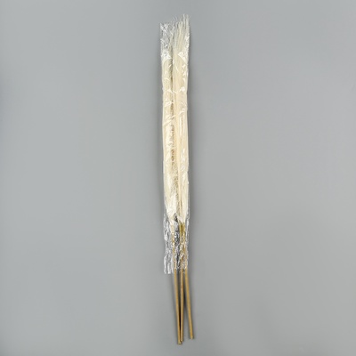 Сухоцветы искусственные «Пампасная трава», 70 см, 3 шт., молочный