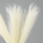 Сухоцветы искусственные «Пампасная трава», 43 см, 3 шт., молочный - Фото 2