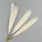 Сухоцветы искусственные «Пампасная трава», 43 см, 3 шт., молочный - Фото 3
