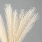 Сухоцветы искусственные «Пампасная трава», 43 см, 3 шт., бежевый - Фото 2