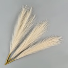 Сухоцветы искусственные «Пампасная трава», 43 см, 3 шт., бежевый - Фото 3