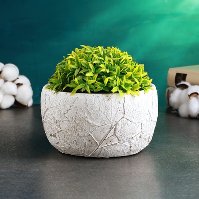 Кашпо «Лив» 16×16×10 см