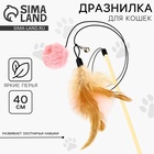 Игрушка дразнилка для кошек с пером и помпоном «Кошечка», розовый - Фото 1
