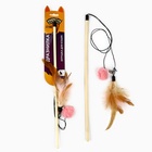 Игрушка дразнилка для кошек с пером и помпоном «Кошечка», розовый - Фото 2