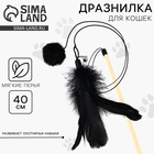 Игрушка дразнилка для кошек с пером и помпоном «Кошечка», черный - Фото 1