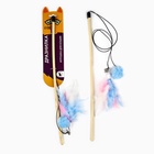 Игрушка дразнилка для кошек с пером и помпоном «Кошечка», голубой - Фото 2