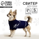 Одежда для собак. Свитер вязаный с орнаментом «Новогодний», синий, размер S - Фото 1