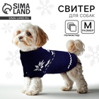 Одежда для собак. Свитер вязаный с орнаментом «Новогодний», синий, размер M - Фото 1