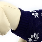 Одежда для собак. Свитер вязаный с орнаментом «Новогодний», синий, размер M - Фото 4