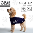 Одежда для собак. Свитер вязаный с орнаментом «Новогодний», синий, размер XL - Фото 1