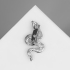 Символ года! Брошь «Змея» пятнистая, извилистая, цвет МИКС 10660855