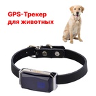 GPS Трекер для животных AK32, с ошейником, точность до 10 м, акб 500 мАч, серебристый - Фото 1