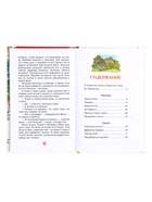 Книга «Рассказы и сказки для детей», Паустовский К.Г., внеклассное чтение - Фото 3