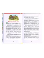 Книга «Рассказы и сказки для детей», Паустовский К.Г., внеклассное чтение - Фото 6