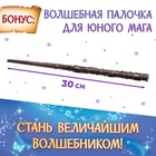 Подарочный набор «Набор волшебника», книги, плакат, волшебная палочка, 6+ - Фото 9
