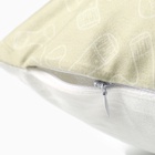 Подушка декоративная «Этель. 23 февраля», 40×40 см, велюр - Фото 4