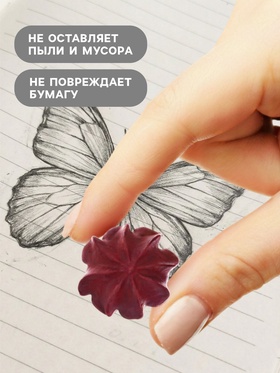 Набор ластиков фигурных 5 штук «Печенья в коробке»