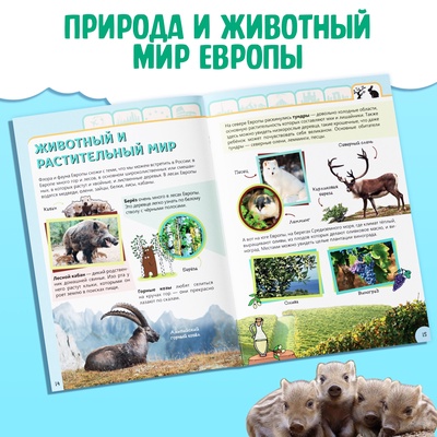 Энциклопедия детская «Европа», 16 стр., 5+