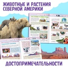 Энциклопедия детская «Северная Америка», 16 стр., 5+ - Фото 4