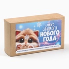 Новогодний подарок гифтбокс мини «Самого сладкого 2025»: драже, печенье, леденец, шоколад - фото 27252252
