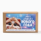 Новогодний подарок гифтбокс мини «Самого сладкого 2025»: драже, печенье, леденец, шоколад - фото 27252253