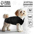 Куртка зимняя для собак «Тёплая зима», чёрная размер M, одежда - Фото 1