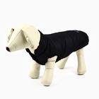 Куртка зимняя для собак «Тёплая зима», чёрная размер M, одежда - Фото 8