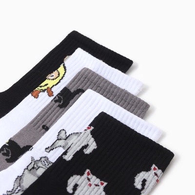 Носки мужские KAFTAN Mem socks, р. 41-44 (27-29 см), набор 5 пар