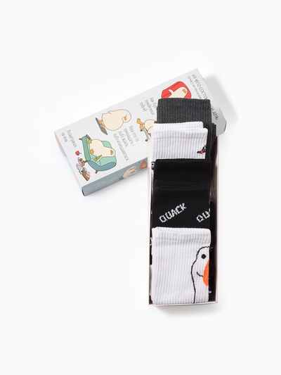 Носки мужские KAFTAN «Гусь», р. 41-44 (27-29 см), набор 5 пар