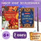 Набор книг, 2 шт. по 24 стр., волшебная палочка - фото 322240953