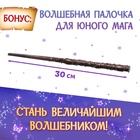 Набор книг «Волшебник», 2 шт. по 24 стр., волшебная палочка 10846915 - фото 13990711