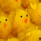 УЦЕНКА Фигурка пасхальная «Цыпа пушистая», набор 15 шт., 7.5×5×5 см 10847886