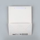 Пакет подарочный новогодний ламинированный «Снежинки», MS 18 х 23 х 10 см - фото 809281035