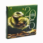 Чай подарочный «Змея», 20 г × 9 шт. - Фото 2