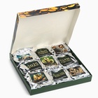 Чай подарочный «Змея», 20 г × 9 шт. - Фото 4