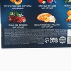 Чай подарочный «Волшебных моментов в Новом году», 20 г × 9 шт. - Фото 7