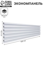 УЦЕНКА Экономпанель металл 1 мм, 1 паз, 100×1.9×15.5 см, шаг 2.5 см, белая - Фото 1