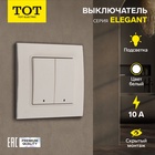 Выключатель TOT Elegant, 10 А, 2 клавиши, с подсветкой, скрытый монтаж, белый - Фото 1