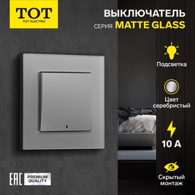 Выключатель TOT Matte Glass, 10 А, 1 кл., с подсветкой, скрытый, стекло, серебристый 10439646