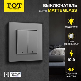 Выключатель TOT Matte Glass, 10 А, 2 кл., с подсветкой, скрытый, стекло, серебристый 10439659