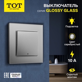 Выключатель TOT Glossy Glass, 10 А, 1 клавиша, с подсветкой, скрытый, стекло, серебристый 10439705