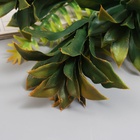 Букет искусственный «Платицериум и папоротник», 40 см 10709141