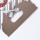 Подарочная коробка-пакет, упаковка с вырубной ручкой, "Лучшему мужчине" , 14 х 6 х 21 см (комплект 5 шт) - фото 32606596