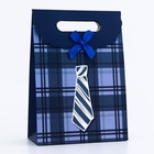Подарочная коробка - пакет, упаковка с вырубной ручкой, «Мужской галстук», 19×9×27 см - Фото 2