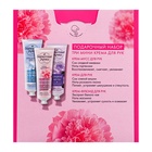 Подарочный набор женский Бархатные ручки "Коллекция кремов": крем для рук 3 шт по 30 мл - фото 30853029