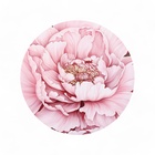 Набор шляпных коробок для цветов 5 в 1, упаковка подарочная, «Бутон», 16×14 см - 22×19.5 см - Фото 6