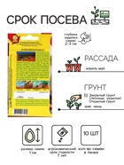Семена Огурец «Веселая такса» F1, 10 шт., средний, «Аэлита» - Фото 2