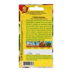 Семена Стевия «Лакомка», 7 шт., «Аэлита Агро» - Фото 2