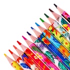 Карандаши 12 цветов, в картонной коробке, шестигранные, деревянные «Цветы на чёрном», МИКС - Фото 4