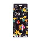 Карандаши 12 цветов, в картонной коробке, шестигранные, деревянные «Цветы на чёрном», МИКС - Фото 6